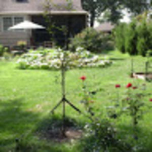 Meet your Posher, Kara